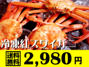 《冷凍》茹紅ズワイガニ〔兵庫県香住港産〕3枚セット（約900g） 【送料無料】冷凍便