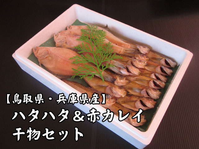 干物セット ハタハタ＆赤カレイ【鳥取県・兵庫県産】1kg・送料無料 冷凍便｜通販・お取り寄せ - 鮮魚屋 マルワフーズ渡辺水産