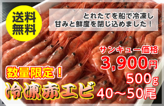 
            【数量限定】冷凍赤エビ【兵庫県産】500ｇ（40～50尾）冷凍便・送料無料
            