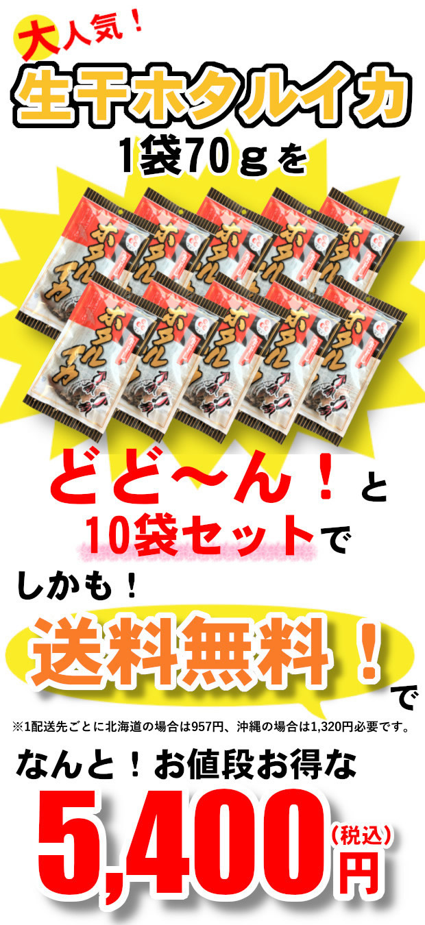 大人気！生干ホタルイカ1袋70gをどど～ん！と10袋セットでしかも送料無料でなんと！お値段お得な5,400円(税込)