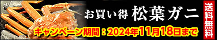 お買い得 松葉ガニ