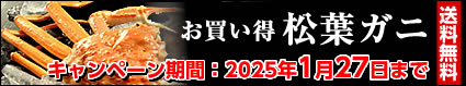 お買い得 松葉ガニ