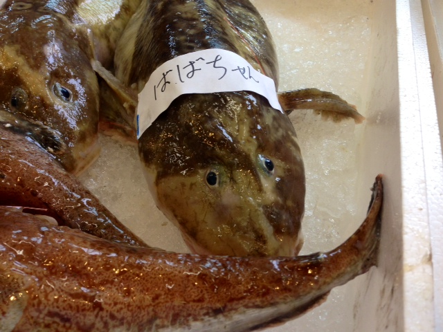 じじちゃん ばばちゃん 鮮魚屋スタッフブログ 山陰 但馬の鮮魚通販 鮮魚屋 マルワフーズ渡辺水産 鳥取県